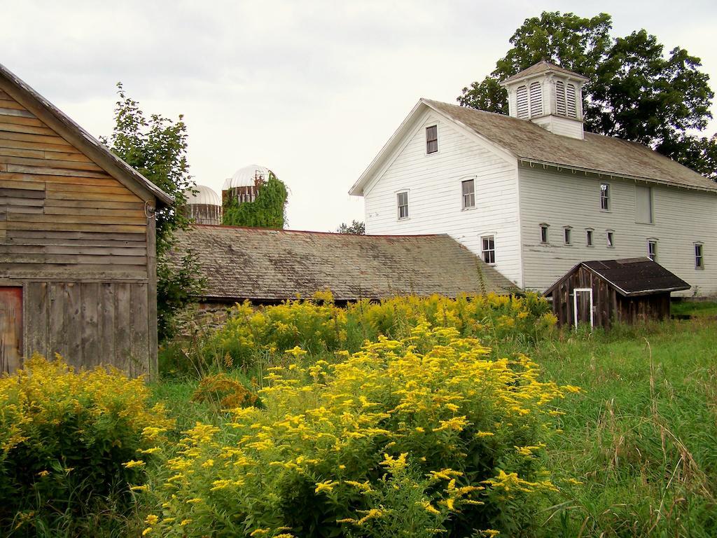 Saratoga Farmstead B&B Saratoga Springs Extérieur photo