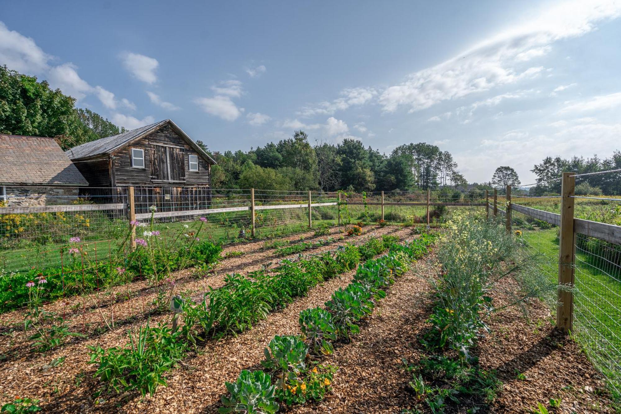 Saratoga Farmstead B&B Saratoga Springs Extérieur photo